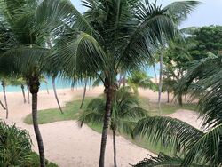 Seven Palms Sentosa Cove (D4), Condominium #469252731